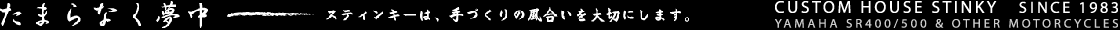 スティンキーは、手作りのオリジナルのシートやタンクなどを販売しています。